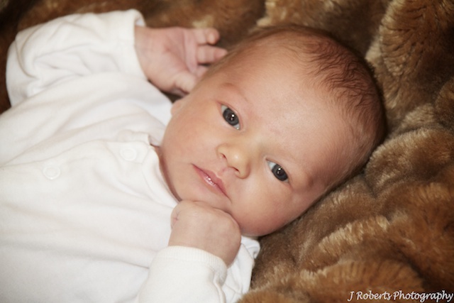 Beautiful baby - newborn portraits